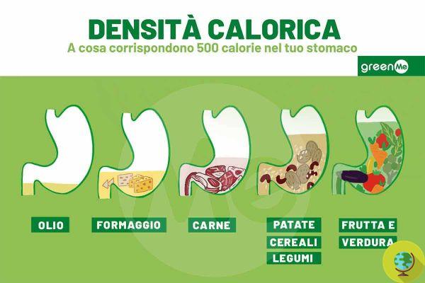 Caloric density: what it is and why it is important to know it if you want to lose weight without too many sacrifices