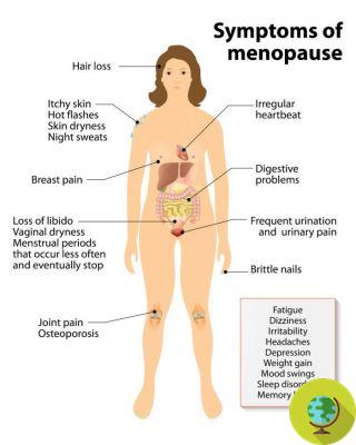 Natural remedies and therapies for cycle disorders and menopause