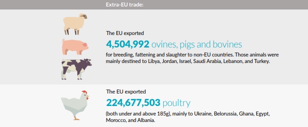 Étonnamment, l'UE est le premier exportateur mondial d'animaux vivants
