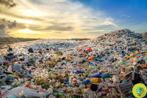 Reciclagem de plástico não é mais suficiente, devemos eliminá-lo gradualmente para reduzir a poluição nos mares