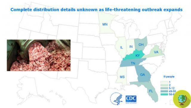 E. coli: nos EUA mais de 200 pessoas infectadas com carne picada