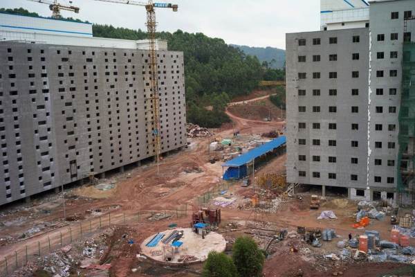 Pig Hotels: en China, cría intensiva de cerdos en edificios de gran altura de hasta 13 plantas