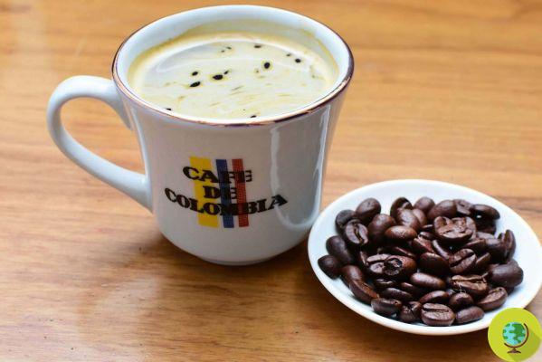 Ainsi l'urgence climatique modifie la production de café en Colombie