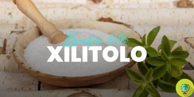 Xilitol: qué es, beneficios y contraindicaciones