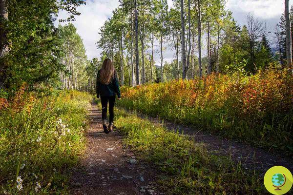 Walking meditation: what it is and why you should include it in your daily routine