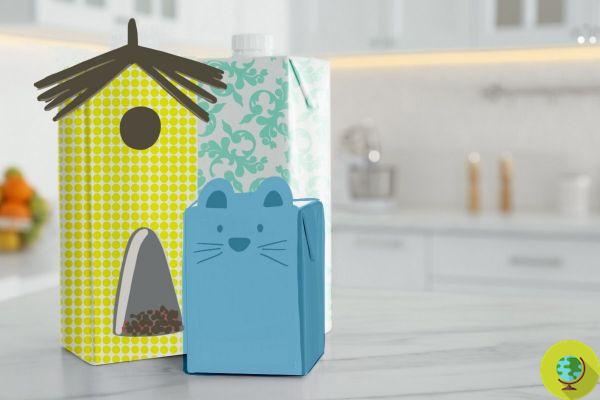 Não deite fora os recipientes de leite! Com a reciclagem criativa, você pode fazer alimentadores de pássaros e caixas de armazenamento DIY
