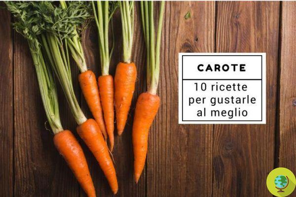 Zanahorias: 10 recetas para disfrutarlas mejor desde aperitivos hasta postres
