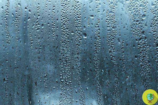 With these tricks you will avoid condensation on the windows of your home and car