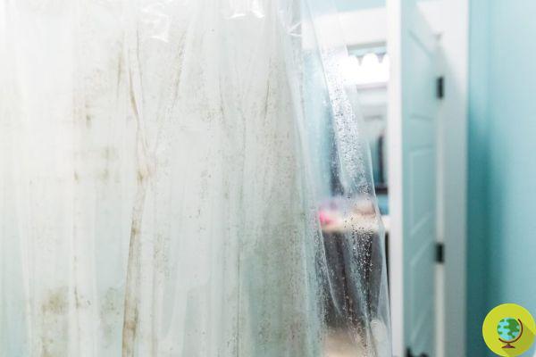 Comment éliminer naturellement la moisissure de votre rideau de douche