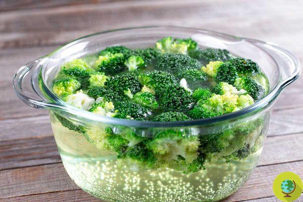 How you should wash broccoli: tricks to get rid of worms and parasites completely
