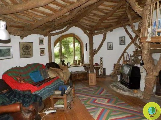 A vendre cette maison de Hobbit nichée dans les bois, qui ressemble à quelque chose du livre de Tolkien
