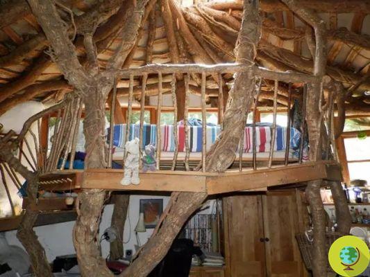A vendre cette maison de Hobbit nichée dans les bois, qui ressemble à quelque chose du livre de Tolkien