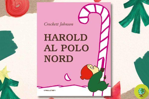 The 12 most beautiful and fun children's books to give for Christmas