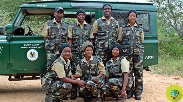 Black mamba: the heroic women fighting poaching in Africa (PHOTO)
