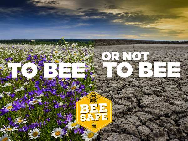 BeeSafe, la campagne du WWF pour sauver tous les pollinisateurs