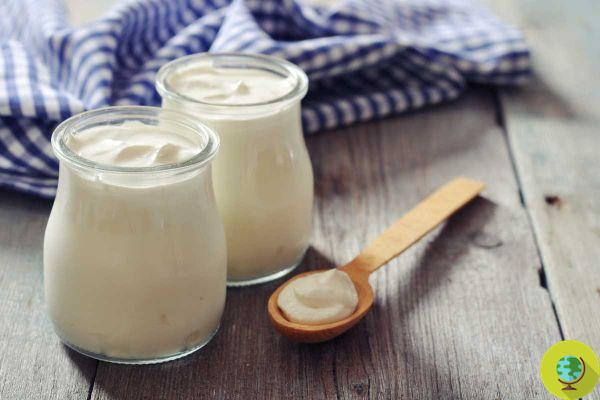 Hypertension: The newly discovered beneficial effect of one yogurt a day on blood pressure