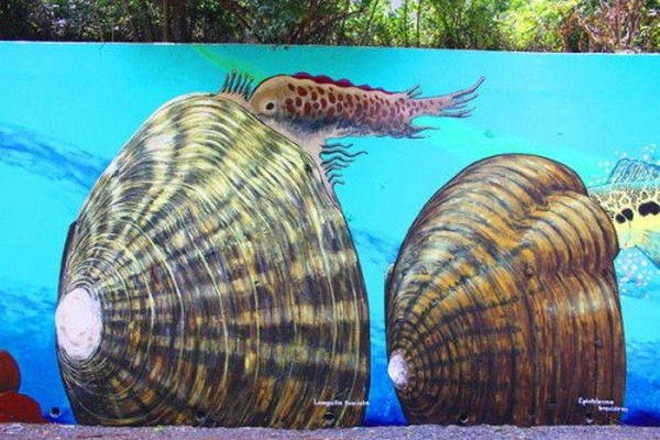 Fantásticos murales para animales marinos en peligro de extinción (FOTO)
