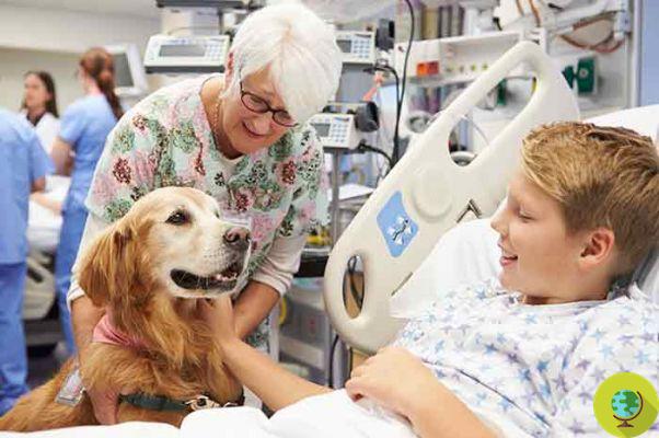 Pet Therapy: green light for dogs and cats in nursing homes and hospices in Prato