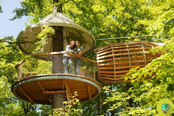 ErlebNest, the minimalist tree house without walls