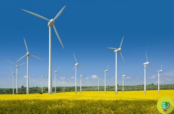 Energía eólica: las turbinas no causan daños a la salud