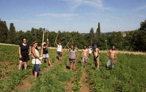 The free peasant school of Mondeggi where you can learn for free to take care of the land