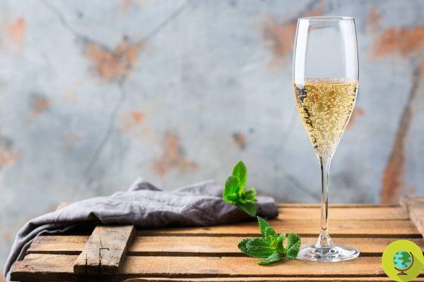 If you have the sparkling wine left over, we will reveal all the tricks and recipes to avoid wasting it