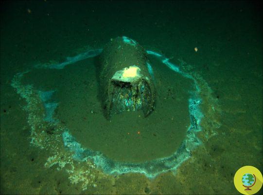 25 barris de DDT tóxico descobertos em aterro submerso no Pacífico que chocou os cientistas