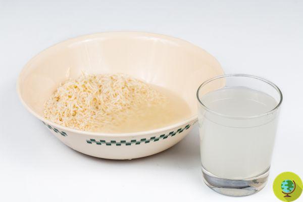 Rice cooking water: do not throw it away, it is a fantastic natural detergent for dishes