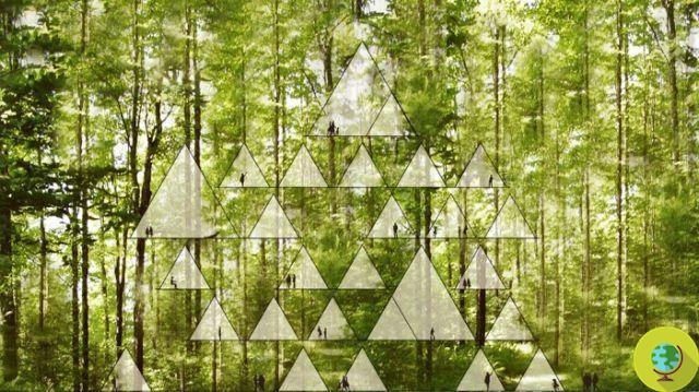 Uno con los pájaros: la carpa modular para árboles hecha de bambú