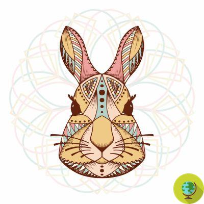 A lenda indiana do coelho que nos ensina a enfrentar nossos medos