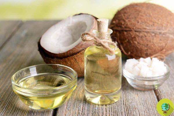 Coconut oil: what if it's not so beneficial to health?