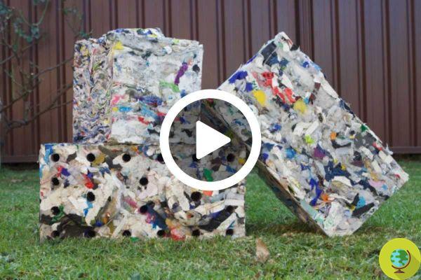 La startup qui transforme le plastique non recyclable des mers en briques plus résistantes que le béton