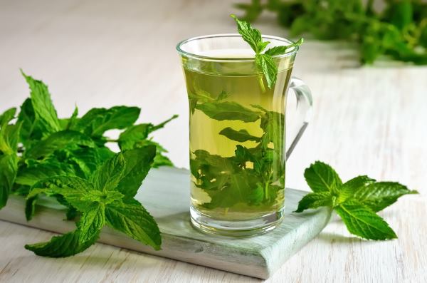 Mint: how to use fresh mint at home and in the kitchen (mojito excluded)