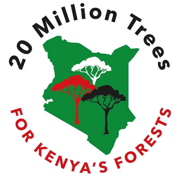 Quênia planta 20 milhões de novas árvores contra o desmatamento (FOTO)
