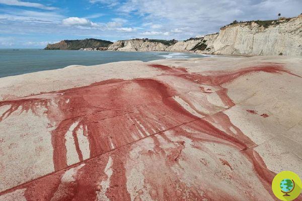 Scala dei Turchi, the two responsible for the destruction identified and reported