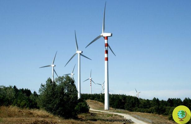 Vent: les citoyens de Tula ne paieront pas l'IMU grâce à l'énergie du vent
