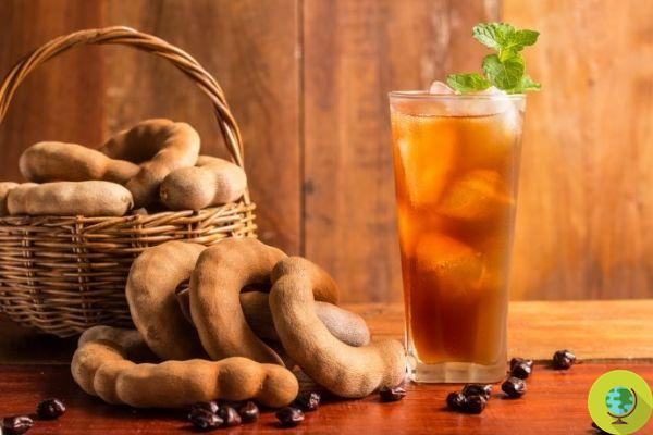 Tamarind: properties, nutritional values, recipes and how to use it in cooking