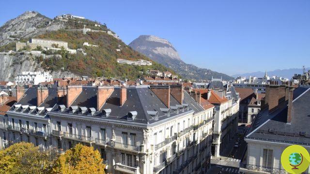Grenoble, première ville d'Europe à remplacer les panneaux publicitaires par des arbres