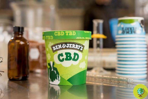 Glace au cannabis : Ben And Jerry's s'apprête à lancer la première glace infusée à l'huile de CBD 