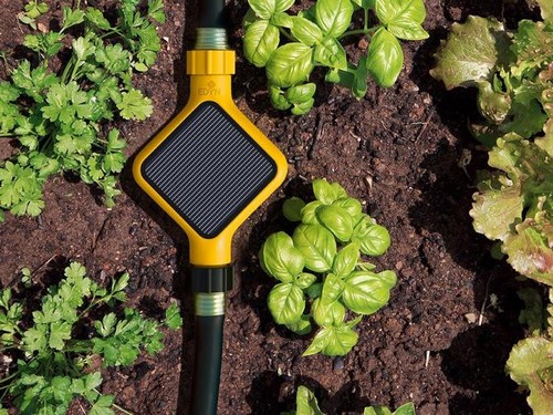 Edyn Garden: o kit Wi-Fi que ajuda você a cultivar a horta