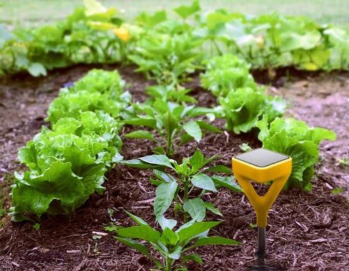 Edyn Garden: the Wi-Fi kit that helps you to cultivate the vegetable garden