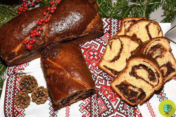 Cozonac, the traditional recipe of the Romanian dessert typical of the holidays