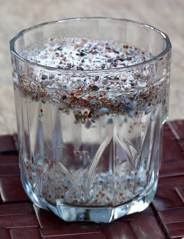 Psyllium seeds: properties, benefits and how to use them for the gut