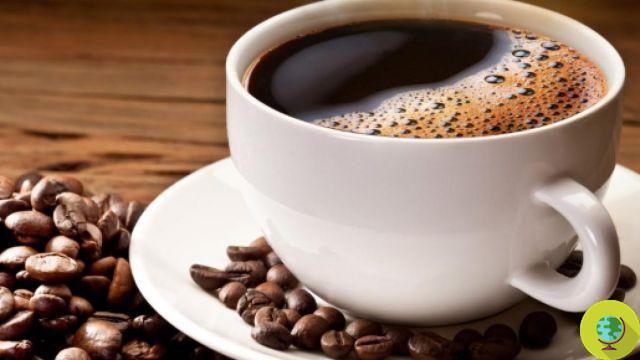 Café: cuidado, puede promover la diabetes tipo 2