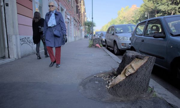 Os troncos abandonados tornam-se esculturas maravilhosas. Entrevista com o menino que deixa Roma mais bonita (FOTO)