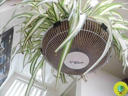 10 ideas to recycle your old broken fan