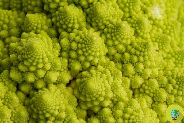 Vegetable fractals: how broccoli and cauliflower spirals are created
