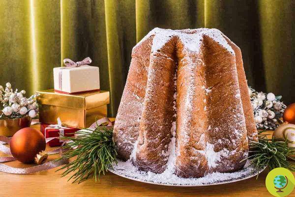 Tricks and recipes to avoid wasting the leftover Pandoro and Panettone