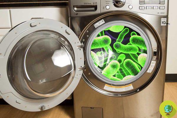 Washing at high temperatures (paradoxically) promotes the spread of bacteria in the washing machine. I study