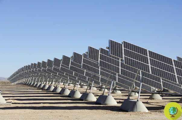 Primera planta desalinizadora industrial con energía solar probada en Emiratos Árabes Unidos